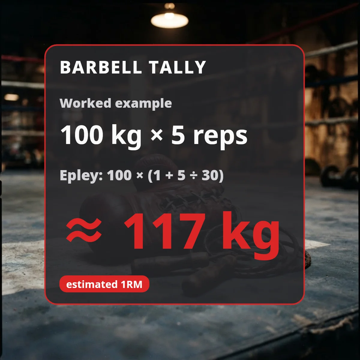 Barbell Tally worked example: 100 kg for 5 reps estimates a one-rep max near 117 kg